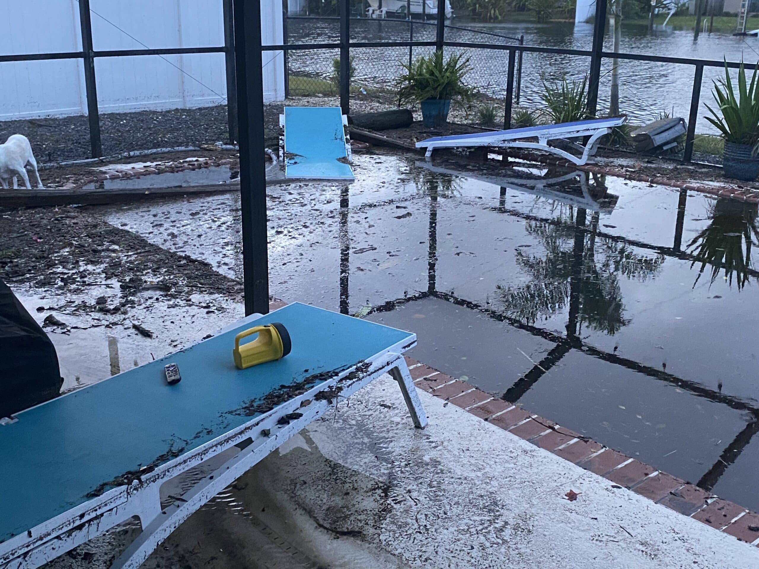 A backyard pool area is flooded with debris scattered around following a hurricane. Lounge chairs and a white dog visible in the background.